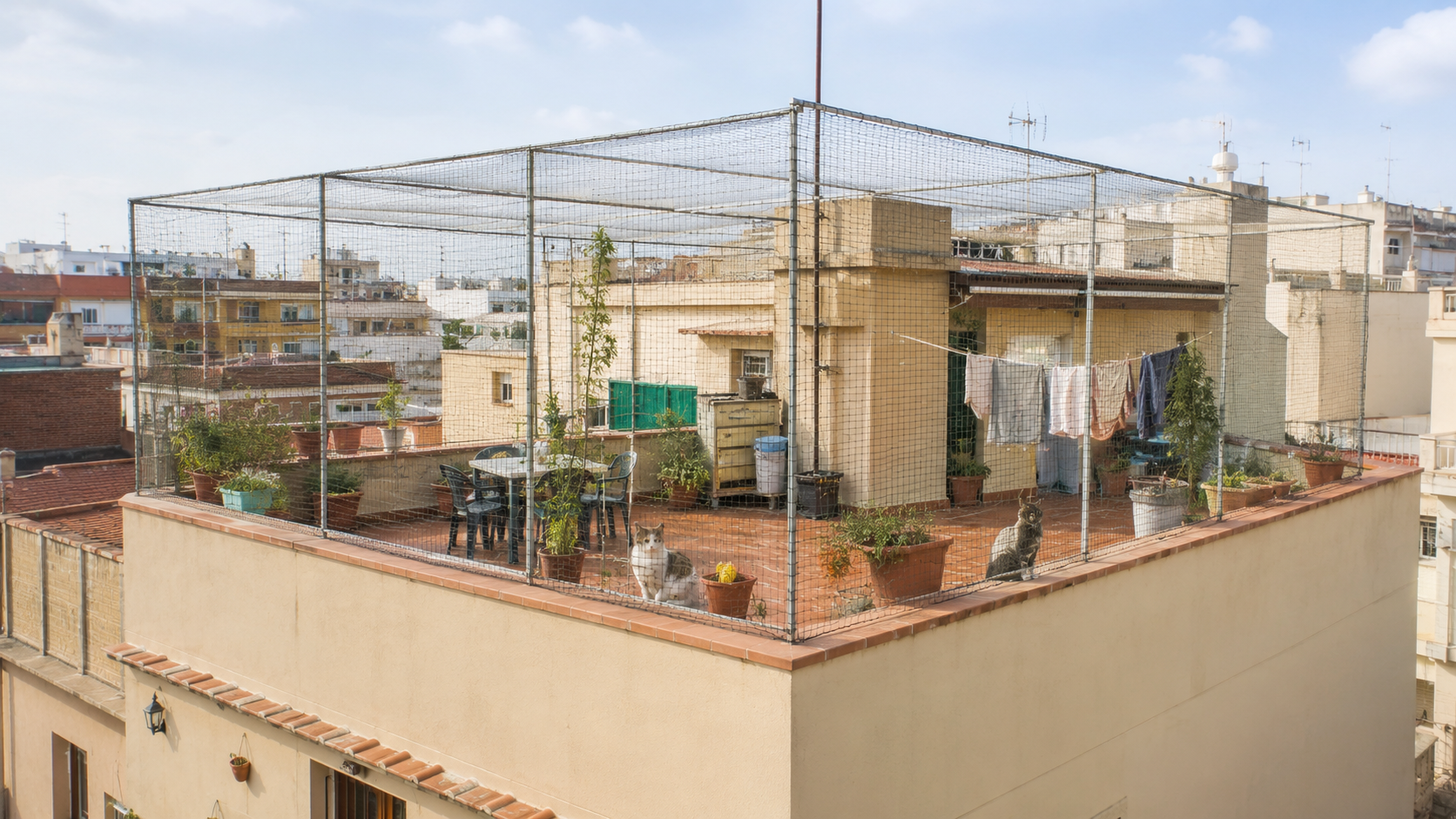 Red de seguridad para gatos instalada en terraza superior de Valencia